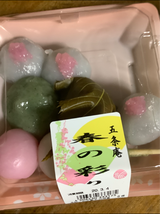 五条庵 春の彩り 6個