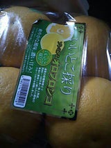 名果 オロブロンコ 1P