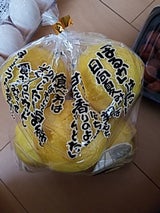 信和 特注サラダみかんはるか用袋