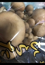 JA中野 ひらたけ 130g