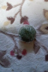 かさい だんご(草)