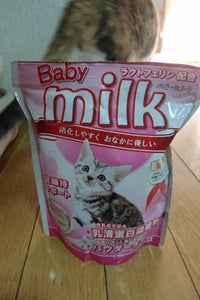ミラクルペット　ベビーミルク　猫用　３００ｇのレビュー画像