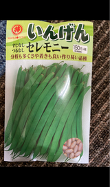 祖母井 野菜種子