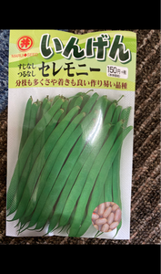 祖母井　野菜種子の商品写真