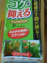 GEX ベストロカ コケを抑えるデュアルマット1個