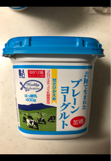 ホリ 北陸生まれプレーンヨーグルト加糖 400g