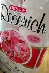 藤枝 ロゼリッチピンクW 12R