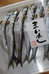 森枝 真いわし丸干 6尾