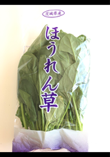 アドバンス 茨城県産ほうれんそう 1P
