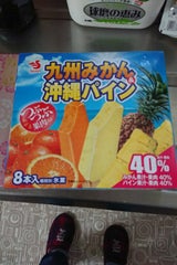 セイカ 九州みかん&沖縄パイン 40ml×8