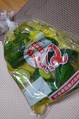 野島 ピリ辛おまかせ胡瓜浅漬 300g