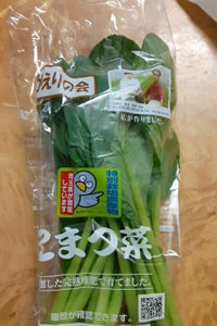 昔がえりの会　小松菜のレビュー画像