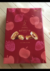 ラグノオささき 森のマドレーヌミックス 10個