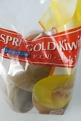 創工社 ゼスプリゴールド