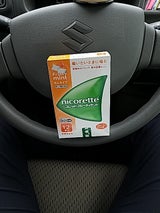 ニコレット フルーティミント 12個