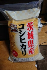 函館米穀 茨城こしひかり 袋 10Kg