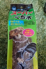 マルカン スーパーくち木