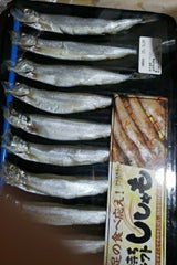 JCT ししゃも 10尾
