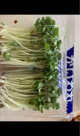 丸豊 貝割大根Wパック 2P