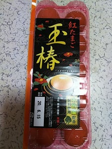 横浜鶏卵　あきた玉椿　１０個のレビュー画像
