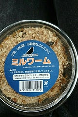 ナチュラルペット ミルワーム 1個
