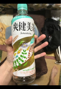 茶 爽 悪い 健美 体 に