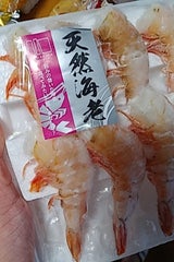 山中 えびW13/15 10尾