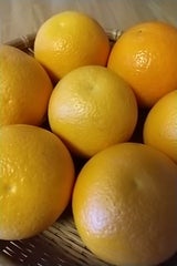 万浦 みかん バレンシアオレンジ アメリカ 6P