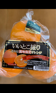 名果　ネーブルオレンジ（高糖度）のレビュー画像