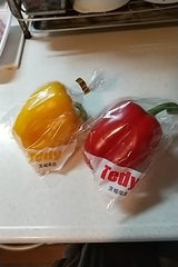 Tedy パプリカ黄色 1P