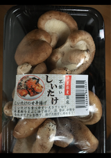 船昭 なましいたけ