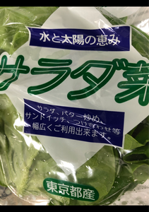 新井 こまつな 1Pの商品写真