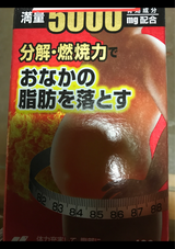 ナイシトールZ 420錠