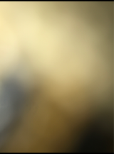 エルサンク 有機チョコレートクランチ 170g