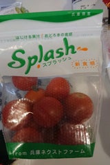 兵庫ネクストF スプラッシュミニトマト 180g
