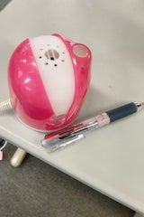 ノーマットセレクト90日セット バラFピンク 1組