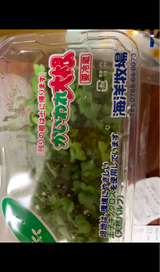 海洋 かいわれ大根