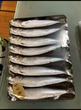 飯田 いわし丸干 5尾