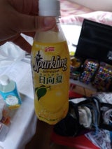 サンA スパークリング日向夏 500ml