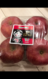 丸船 サンつがる 4P