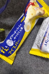 森永小枝アイスバービアードパパパイシュー100ml