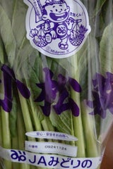 みどりの 小松菜 250g