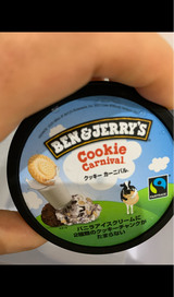 ベン&ジェリーズ クッキーカーニバル 120ml