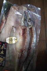 ヤマショウ カマス 1P