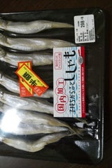 松江 ししゃも 6L 8尾