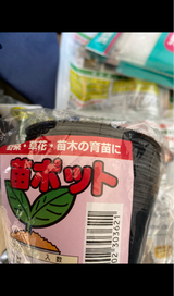 渡辺泰 苗ポット 7.5cm 10個