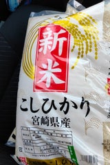 カカシ 宮崎県産こしひかり 5kg