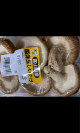 大松青果 椎茸(L) 3枚