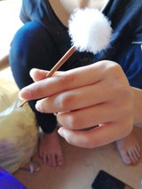 貝印 スタンダードセレクション 凡天耳かきS 2本