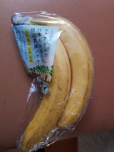 ANAフーズ 田辺農園バナナパック 600g